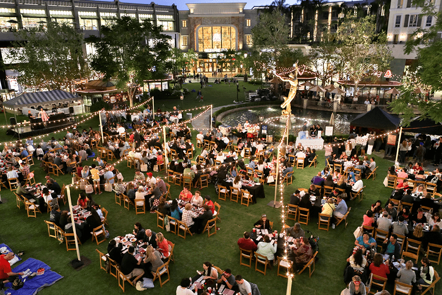 Bingo Under the Stars, Hosted by Bingo Boy