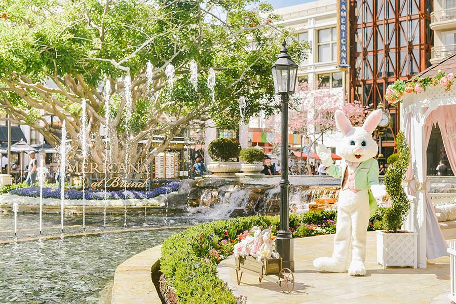 Meet the Easter Bunny
