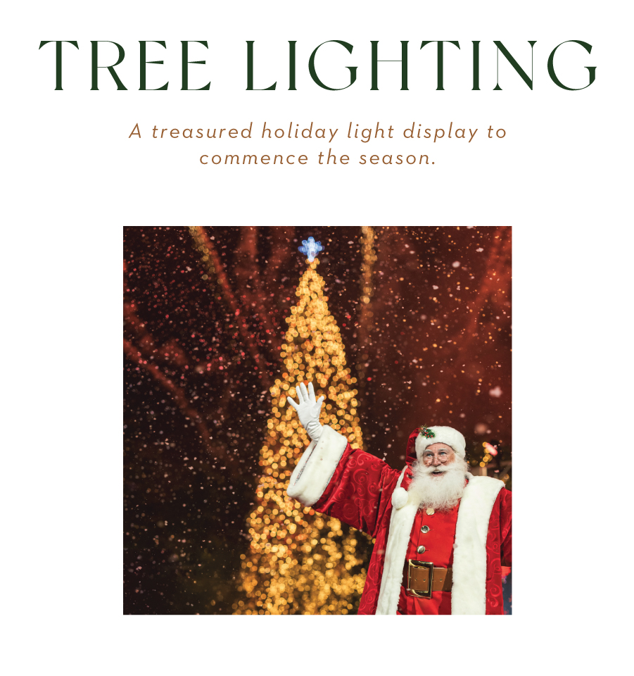 Text: Tree lighting. A treasured holiday light display to commence the season. Image: Santa in front of a lit up Christmas Tree