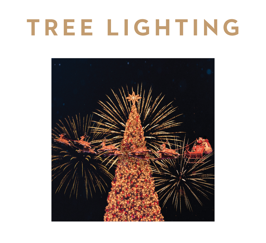 "Tree Lighting" Text with photo of Santa riding his sleigh in front of the Christmas tree