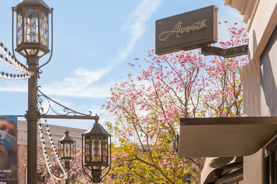 Office Break Bites at Trattoria Amici & Ombra Wine Bar